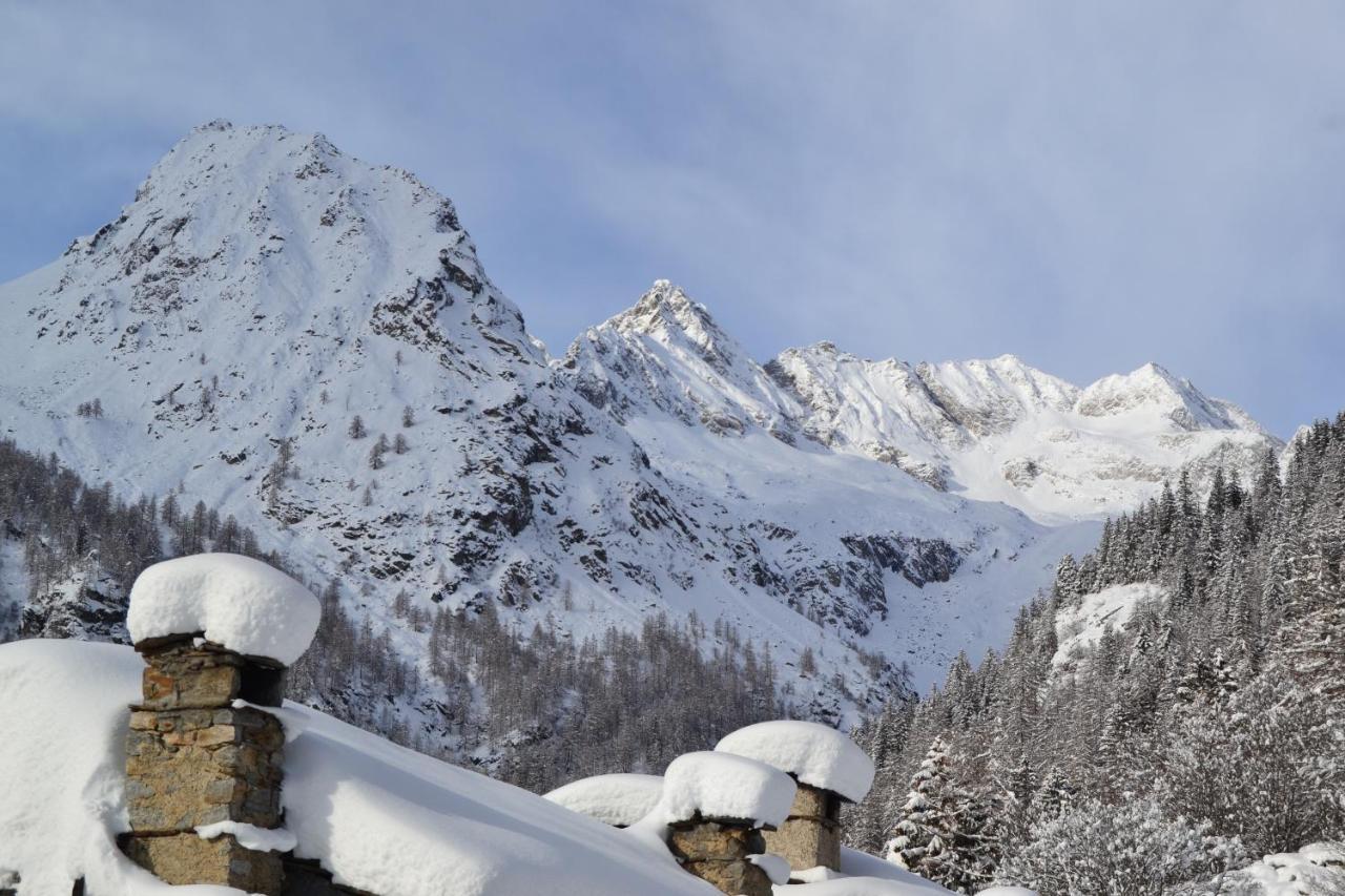 La Mura' - Il Vostro Posto Nel Gran Paradiso Ronco Canavese 외부 사진