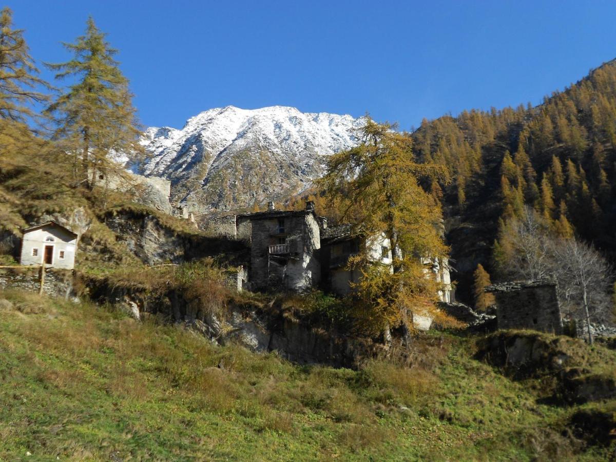 La Mura' - Il Vostro Posto Nel Gran Paradiso Ronco Canavese 외부 사진