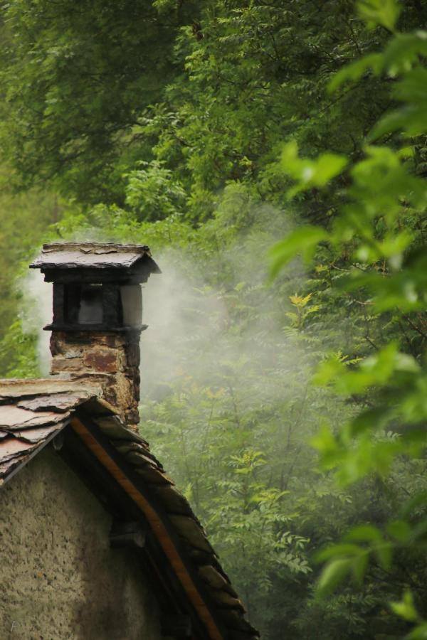 La Mura' - Il Vostro Posto Nel Gran Paradiso Ronco Canavese 외부 사진