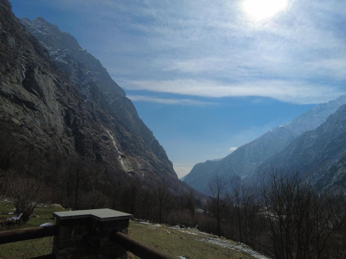 La Mura' - Il Vostro Posto Nel Gran Paradiso Ronco Canavese 외부 사진